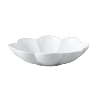 Blooming Lotus Bowl Large White Background Photo