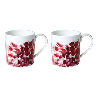 Petals Set of Two Mugs White Background Photo
